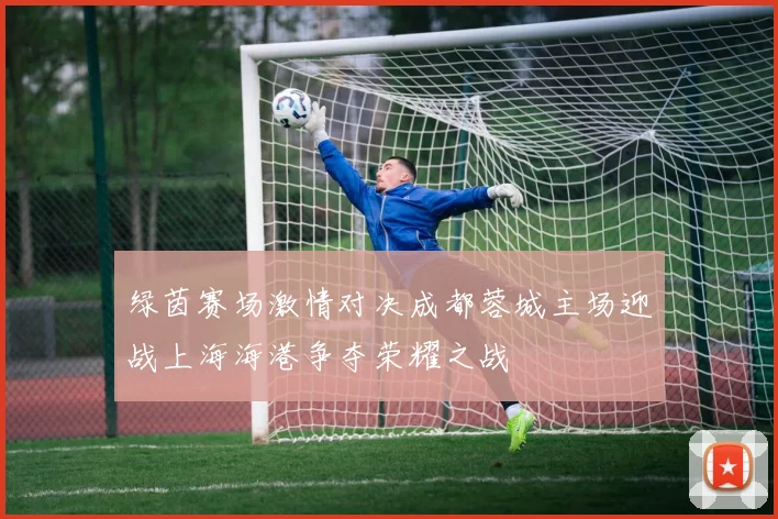 绿茵赛场激情对决成都蓉城主场迎战上海海港争夺荣耀之战